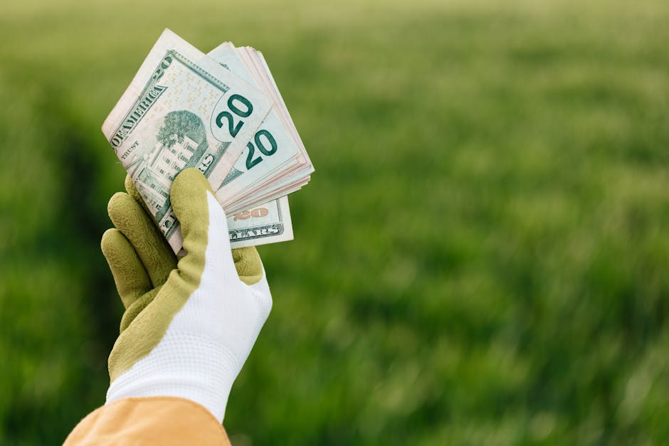 financial success