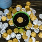 Cryptocurrency: Why Did Crypto Crash Today Guide