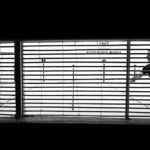 Investment Strategies: Goldman Sachs Mutual Funds Guide