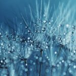 Financial Planning Tools: Compound Annual Growth Rate Calculator Guide